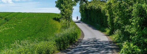 Wellness in der Holsteinischen Schweiz erleben Aktiv und fit durch die Natur in der Holsteinischen Schweiz